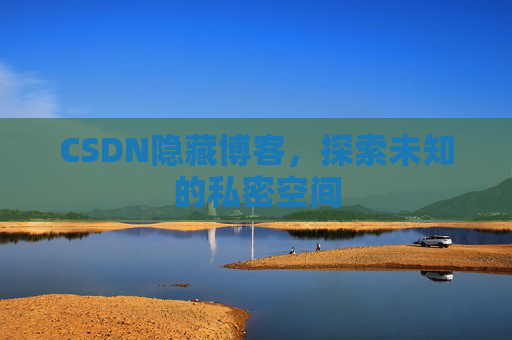 CSDN隐藏博客，探索未知的私密空间